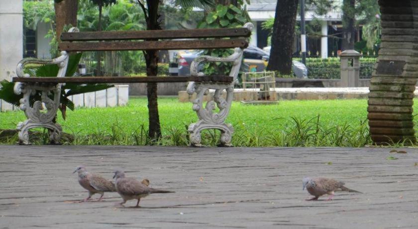 Sofyan Hotel Soepomo Jakarta Exteriér fotografie
